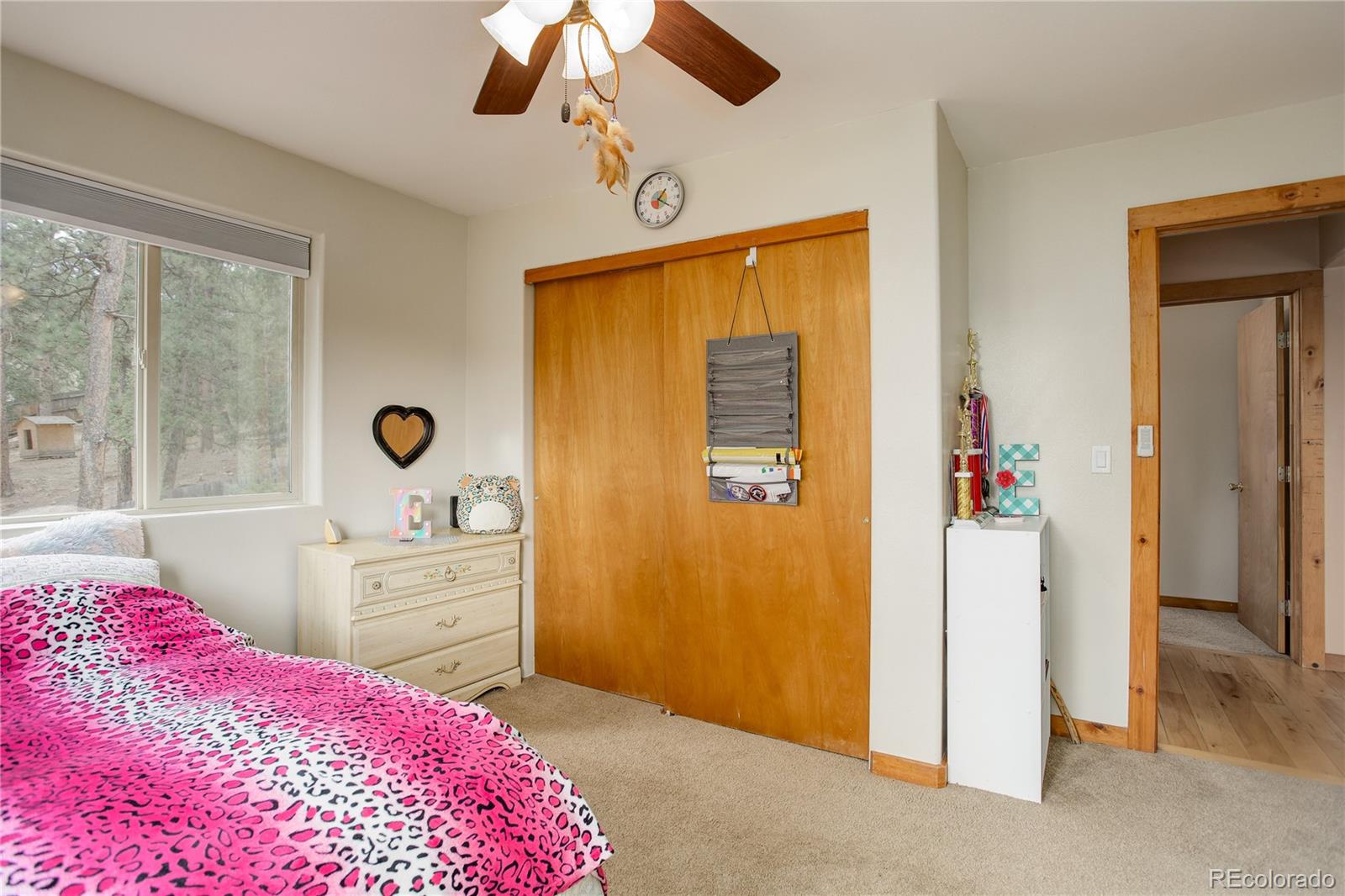266 South Random Road Bailey, CO 80421 - Photo 11 of 34