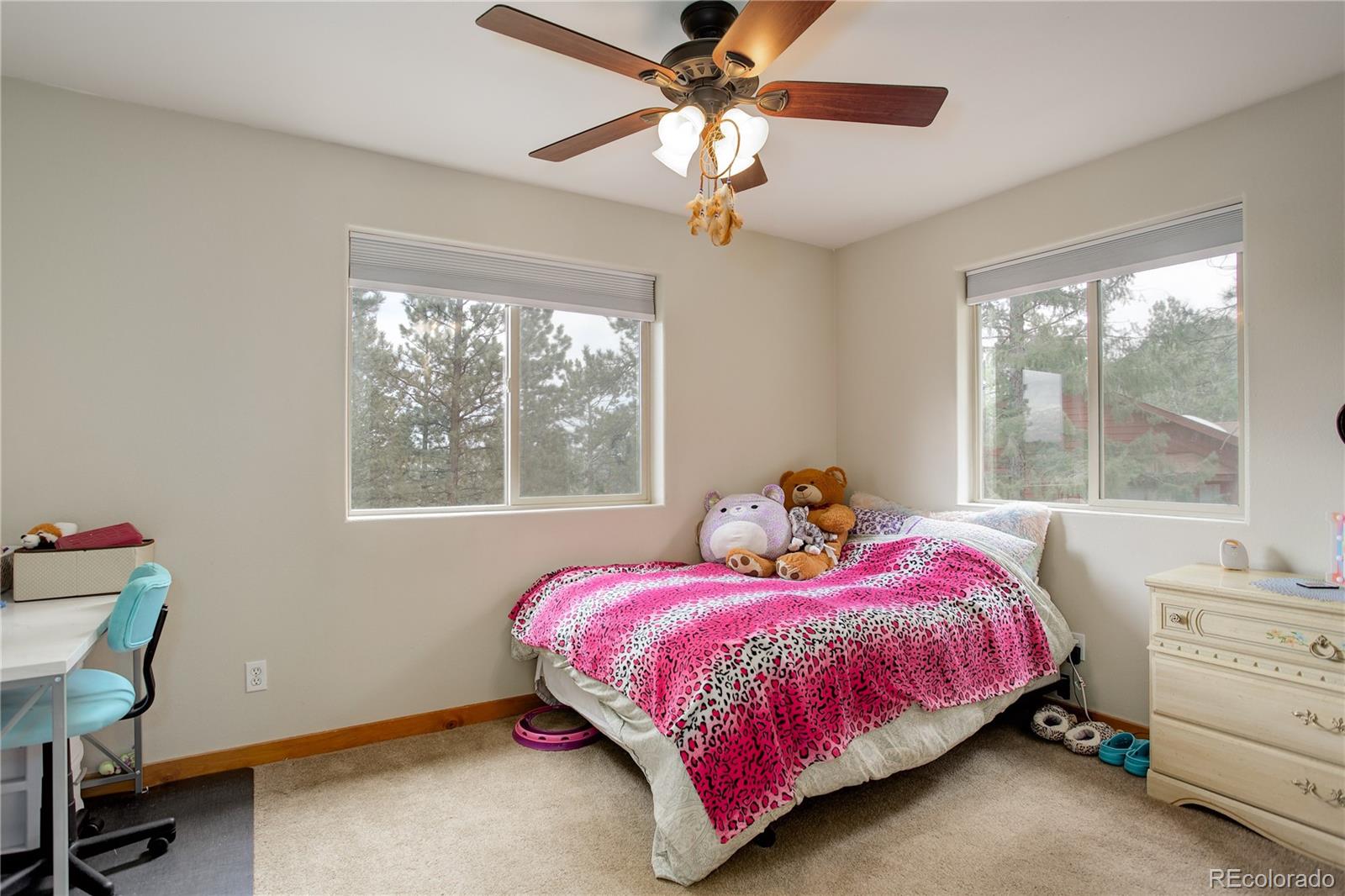 266 South Random Road Bailey, CO 80421 - Photo 12 of 34