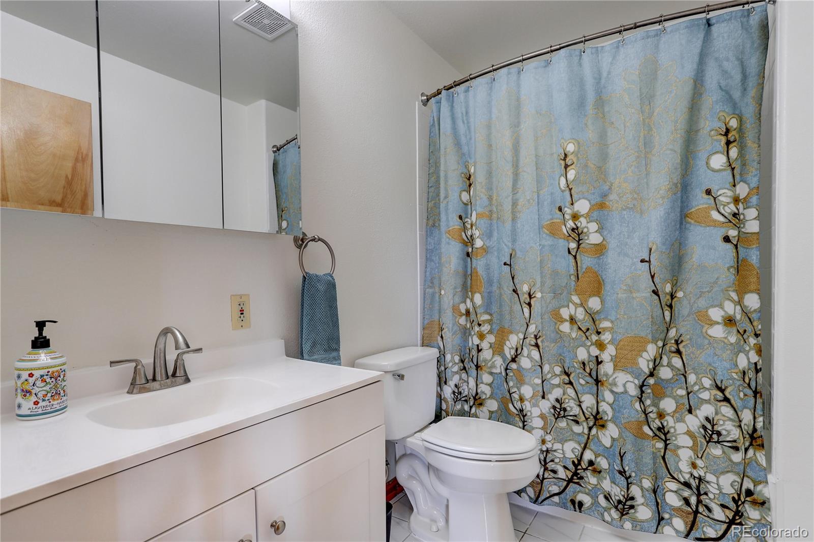 266 South Random Road Bailey, CO 80421 - Photo 21 of 34