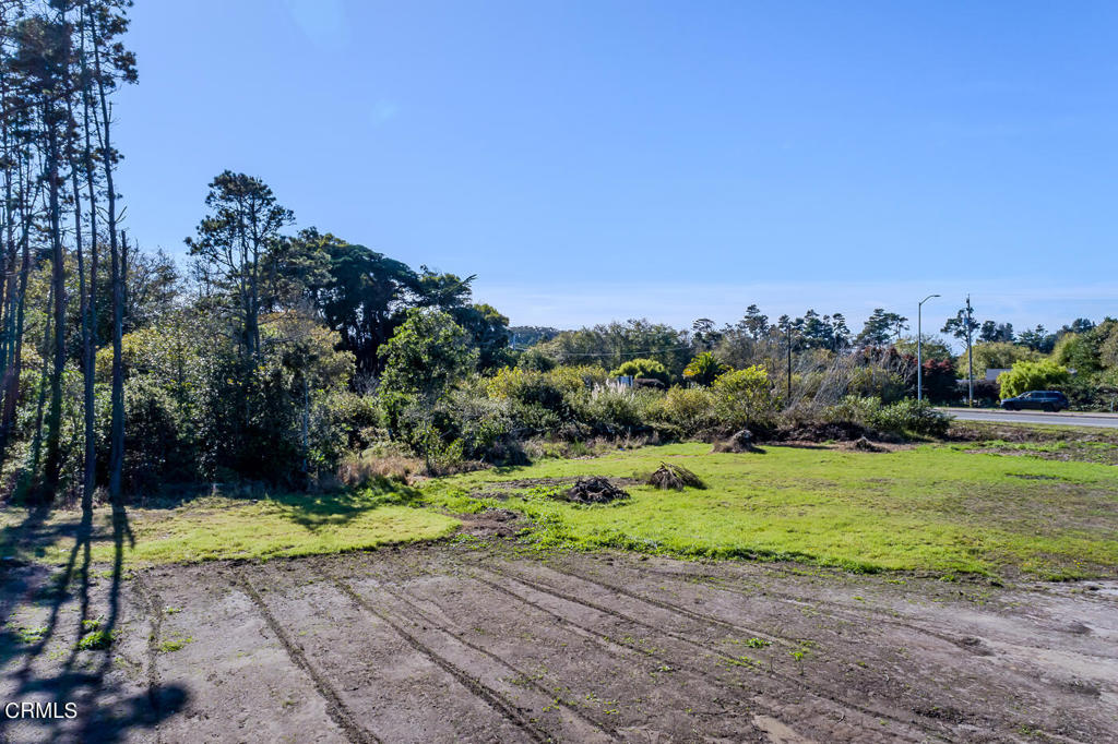 18451 Highway 1 Fort Bragg, CA 95437 - Photo 2 of 8 a view of a yard with plants and large trees