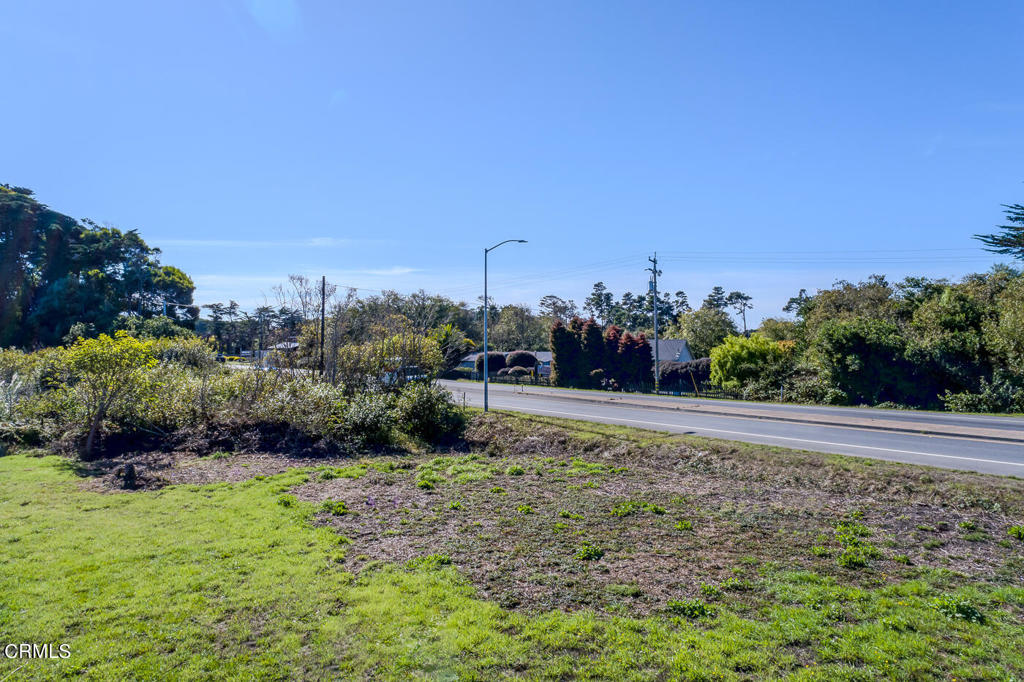 18451 Highway 1 Fort Bragg, CA 95437 - Photo 4 of 8 a view of a garden with large trees