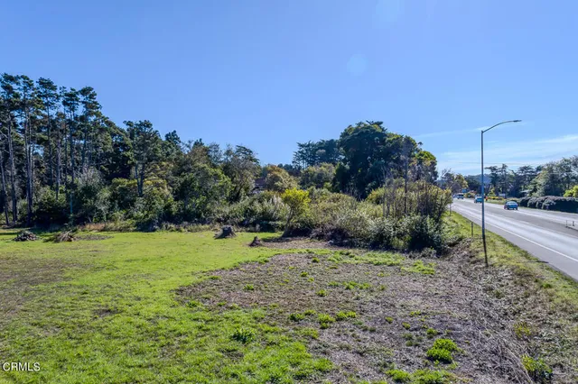 a view of a grassy field with trees