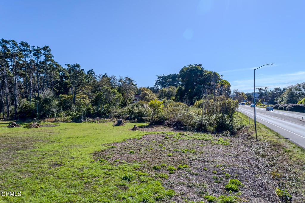 18451 Highway 1 Fort Bragg, CA 95437 - Photo 7 of 8 a view of a grassy field with trees