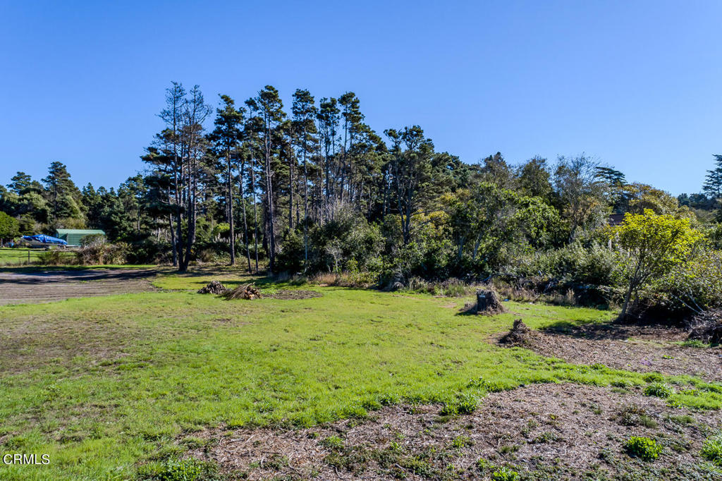 18451 Highway 1 Fort Bragg, CA 95437 - Photo 8 of 8 a view of a park with large trees