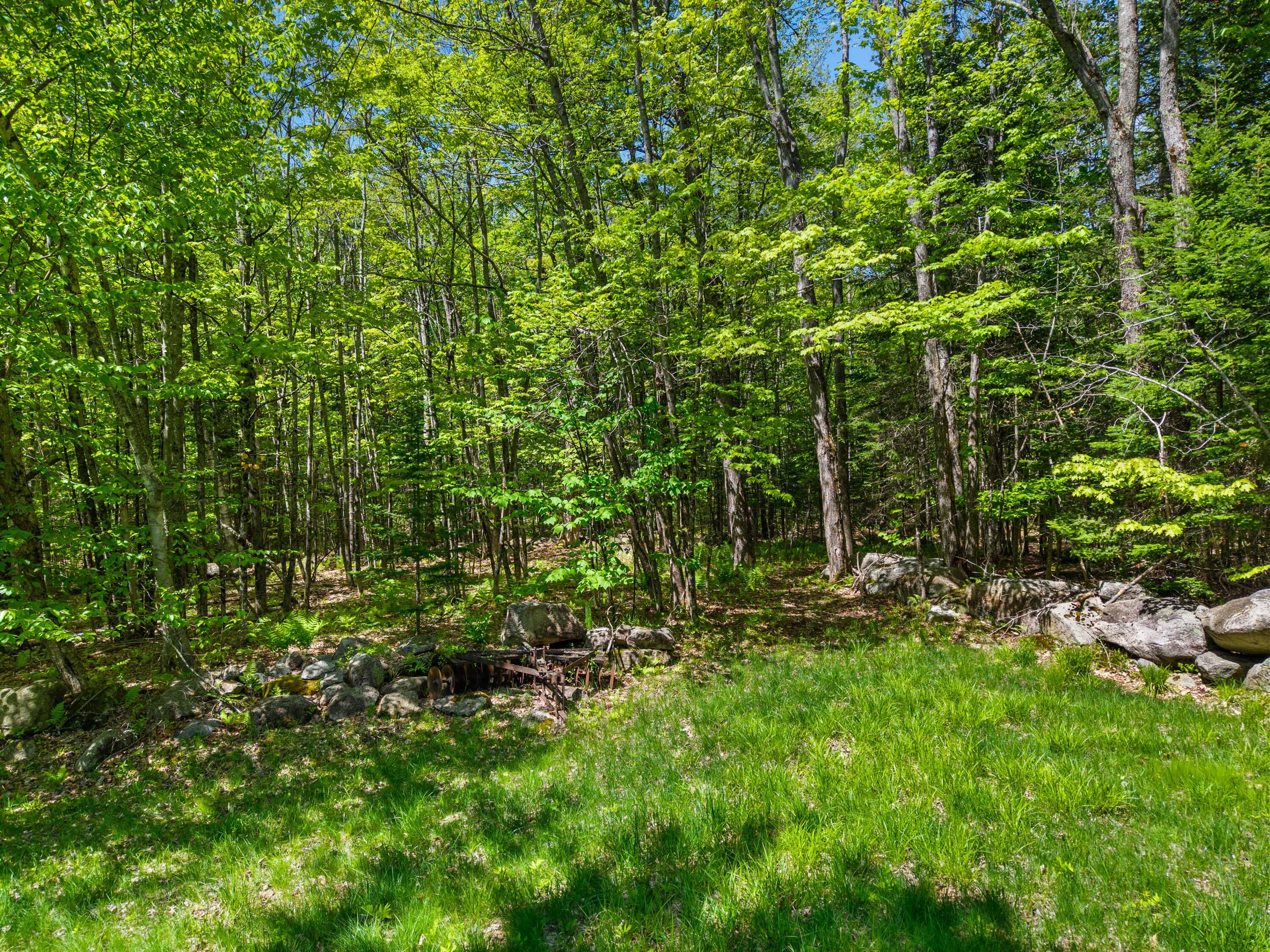 Lot 26 Rowe Hill Road Greenwood, ME 04255 - Photo 36 of 66 Rowe Hill Rd Lot 26 (42)