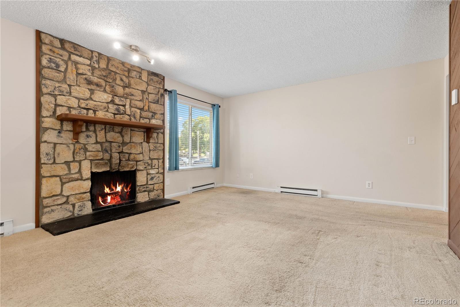 4068 South Atchison Way, Unit 202 Aurora, CO 80014 - Photo 8 of 33 an empty room with a fireplace and window