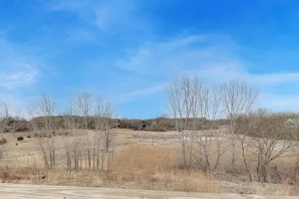 a view of a yard