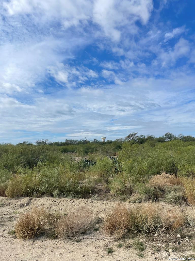 131 Camino Real Road Eagle Pass, TX 78852 - Photo 11 of 11