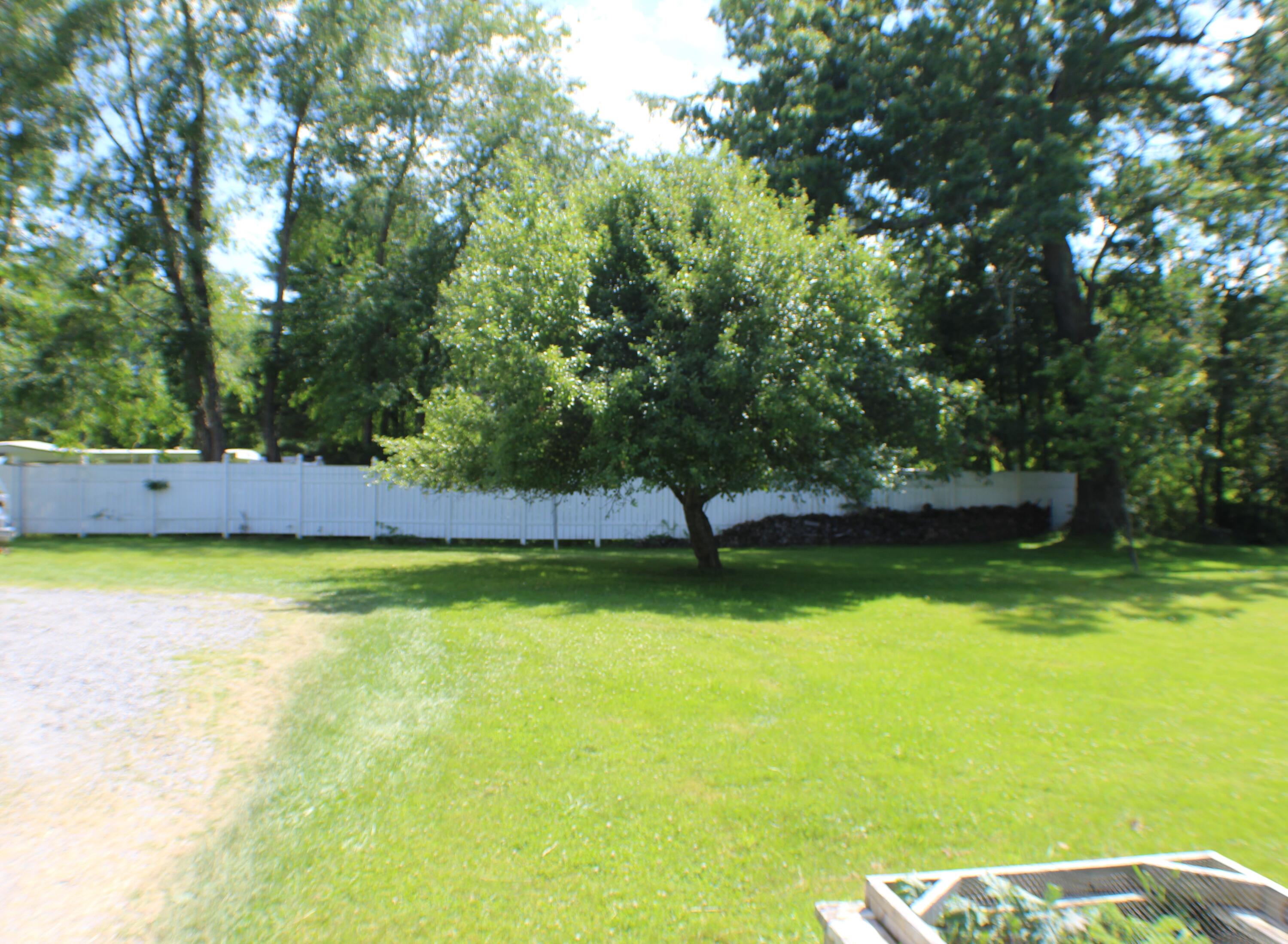 79 Hannah Run Road Arbovale, WV 24915 - Photo 12 of 42 Gallery Image 12