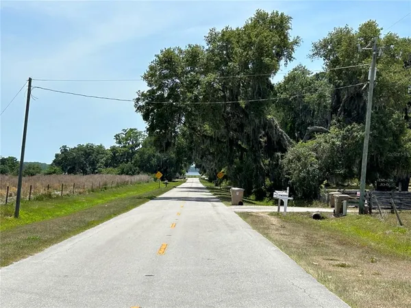a view of a park with large trees