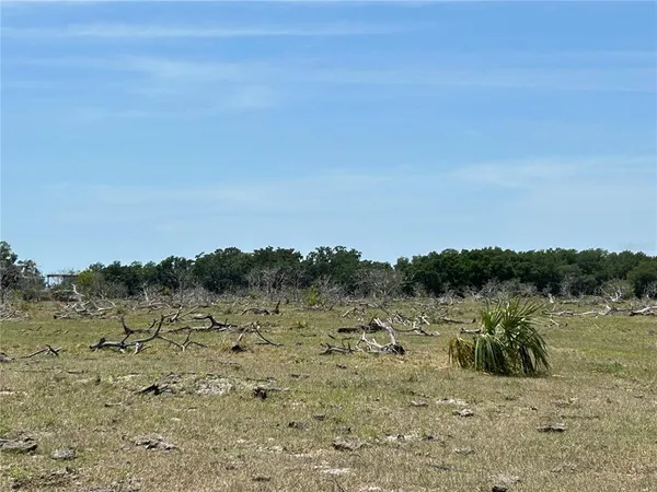 a view of a dry field with trees in background