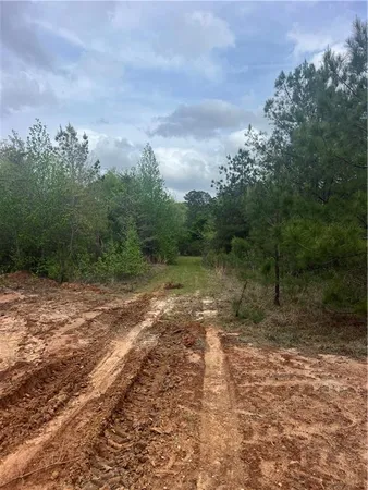 $66,000 | 4 Scotts Path, Bentley, LA 71407