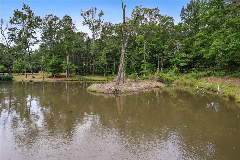 4012 Morris Road Powder Springs, GA 30127 - Photo 52 of 64 a view of a lake view with a large tree