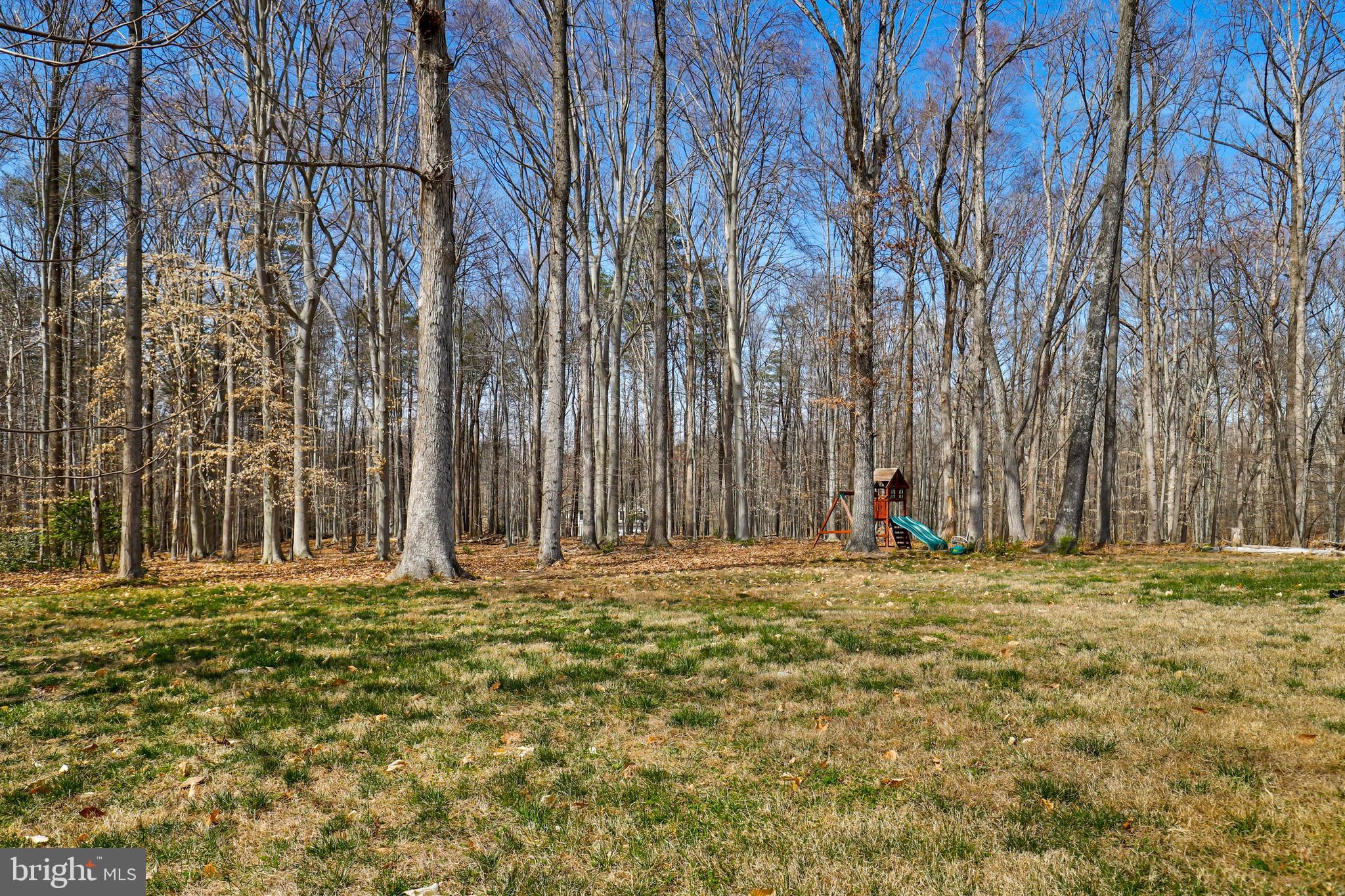 9830 Hampton Road Fairfax Station, VA 22039 - Photo 68 of 71