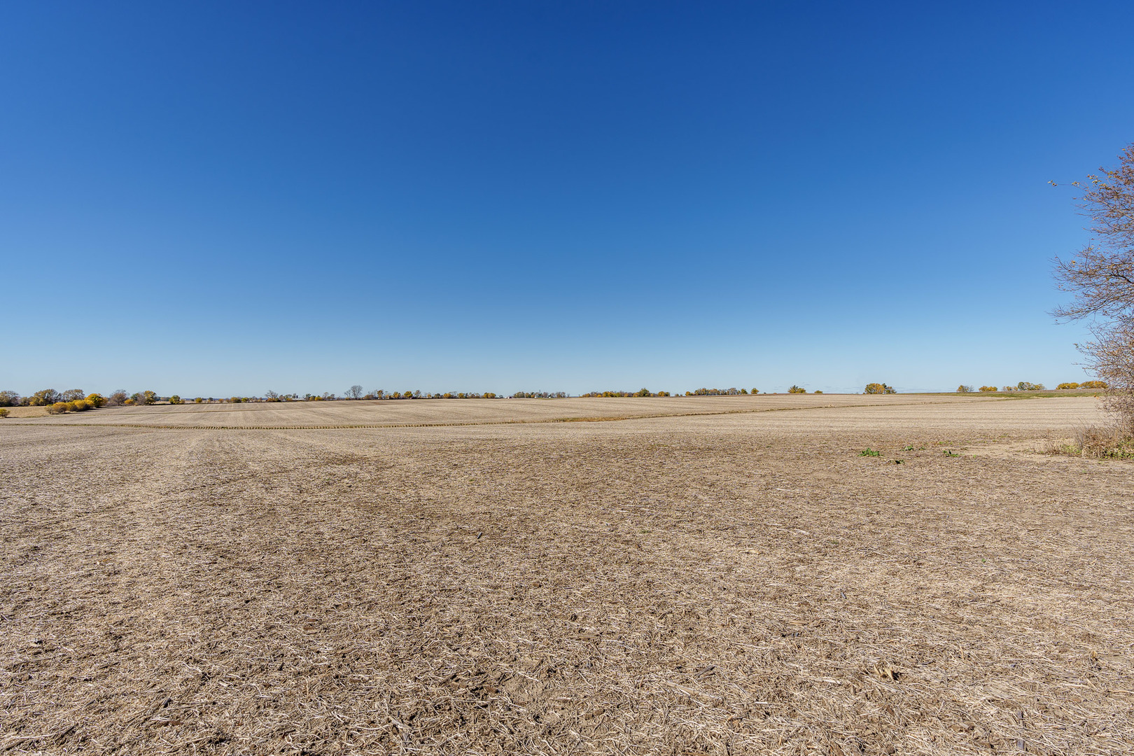 2826 Stone Quarry Road Belvidere, IL 61008 - Photo 27 of 40