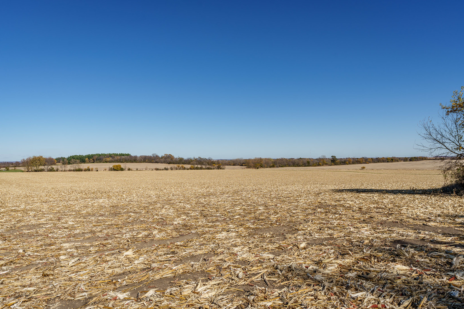 2826 Stone Quarry Road Belvidere, IL 61008 - Photo 40 of 40