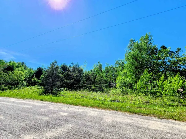 $4,500 | Lot 111 Breezewood Drive, Mancelona, MI 49659