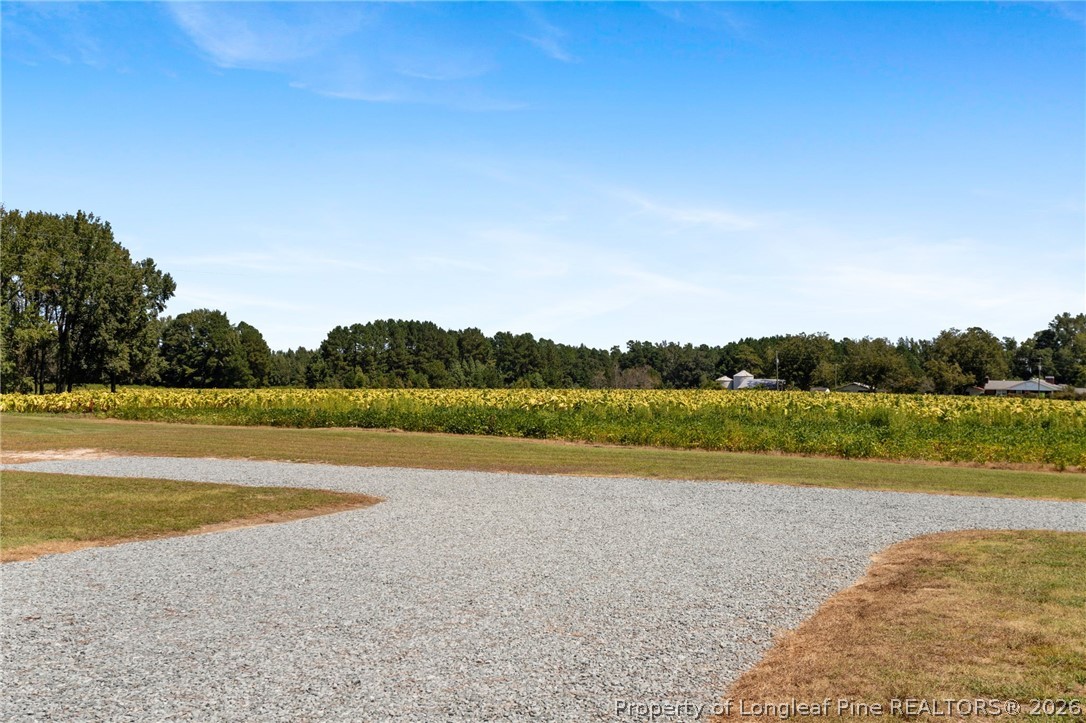 1283 Bethel Baptist Road Spring Lake, NC 28390 - Photo 35 of 45