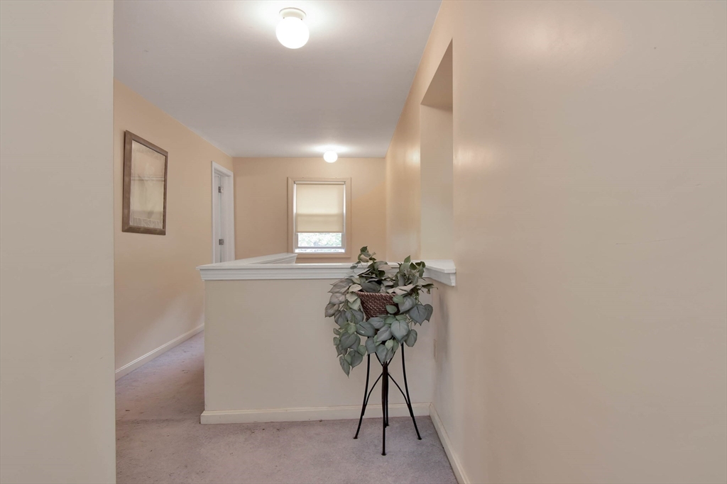 438 Boston Post Road Amherst, NH 03031 - Photo 23 of 32 a view of a livingroom with a potted plant
