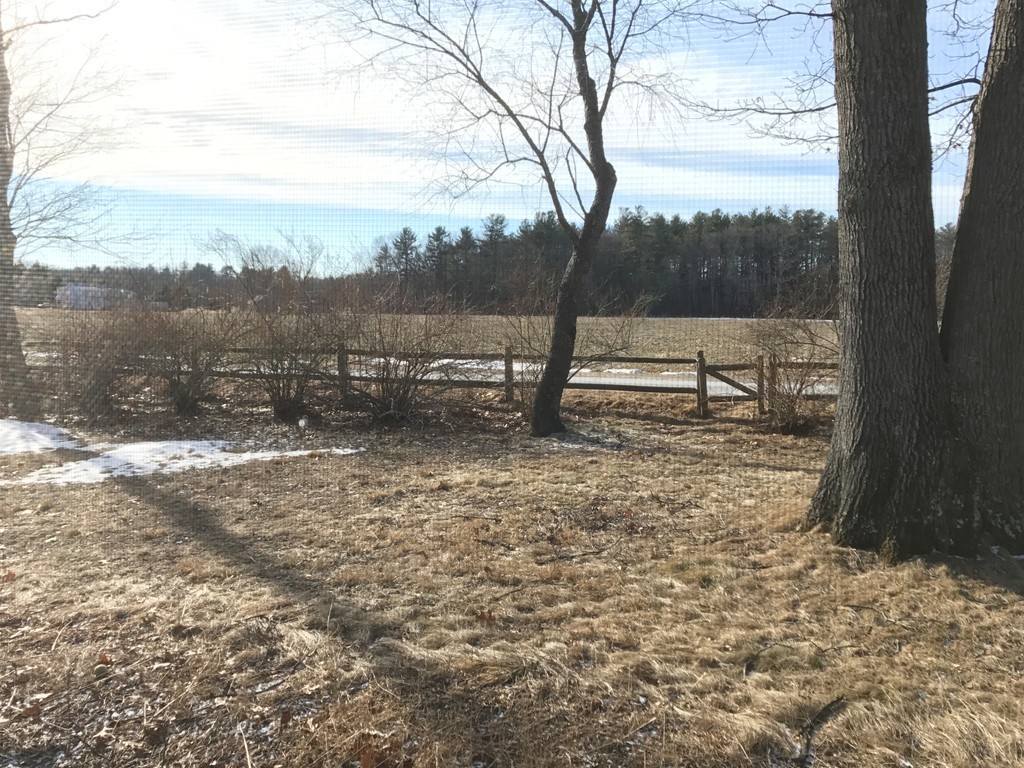 113 Peter Spring Road Concord, MA 01742 - Photo 6 of 13 a view of a yard with a bench