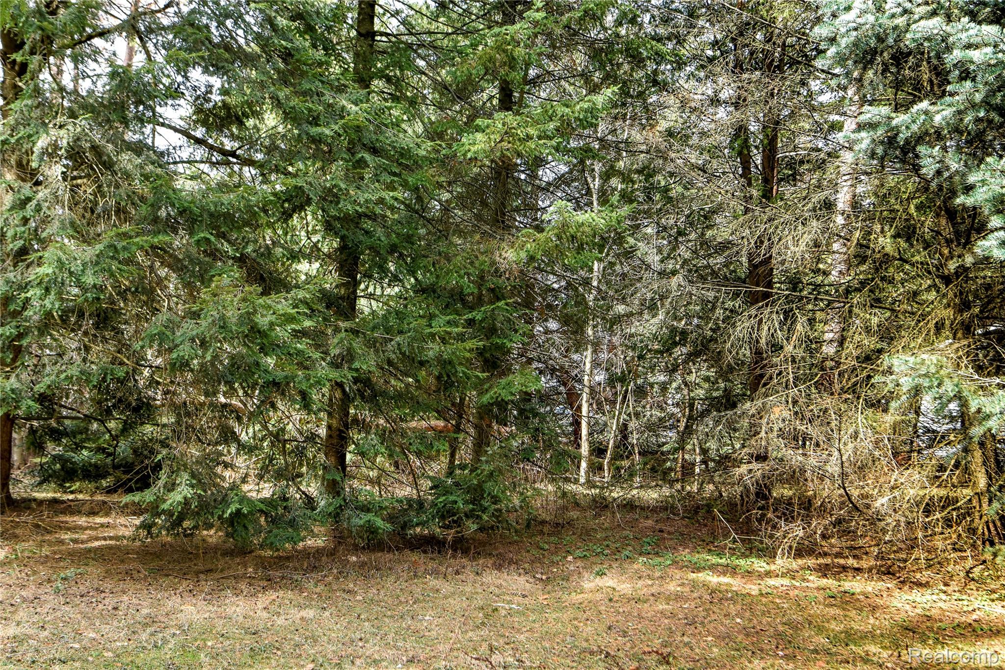 Lot 64 Merry Road Waterford, MI 48328 - Photo 24 of 26 1493 Vacant Lot for MLS (24).jpg