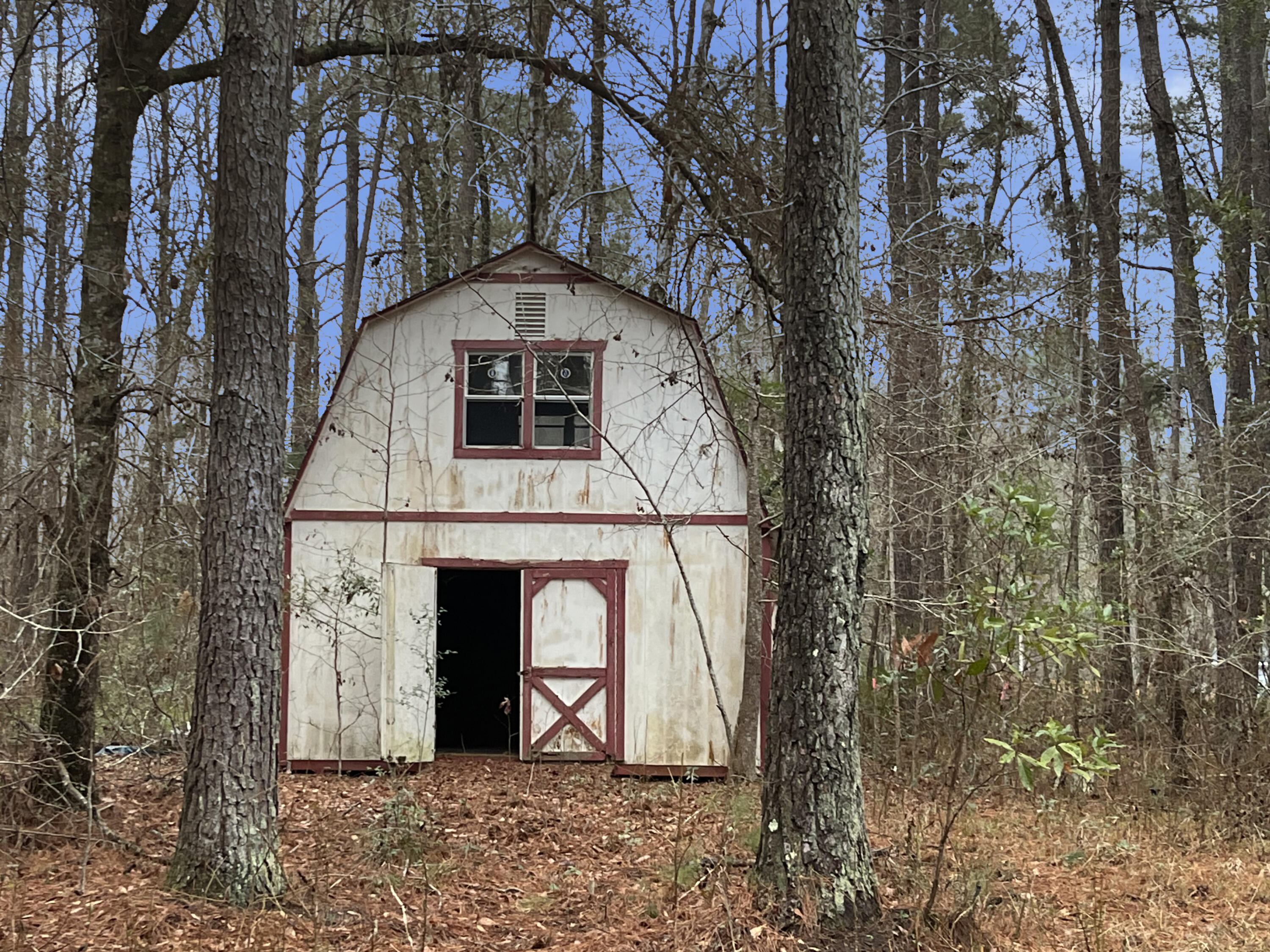 1966 Highway 311 Cross, SC 29436 - Photo 2 of 16 IMG_4132