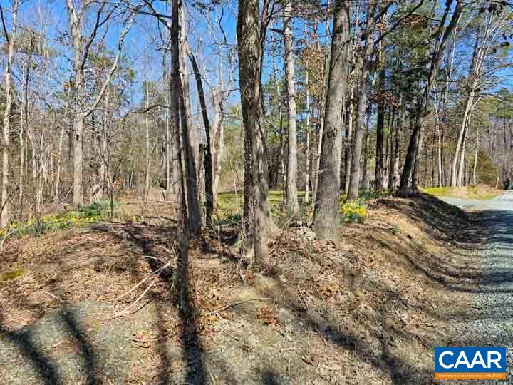 0 Mossing Ford Road Charlottesville, VA 22911 - Photo 3 of 22 Gallery Image 3