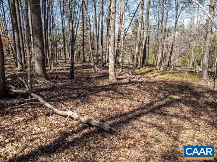 0 Mossing Ford Road Charlottesville, VA 22911 - Photo 10 of 22 Gallery Image 10