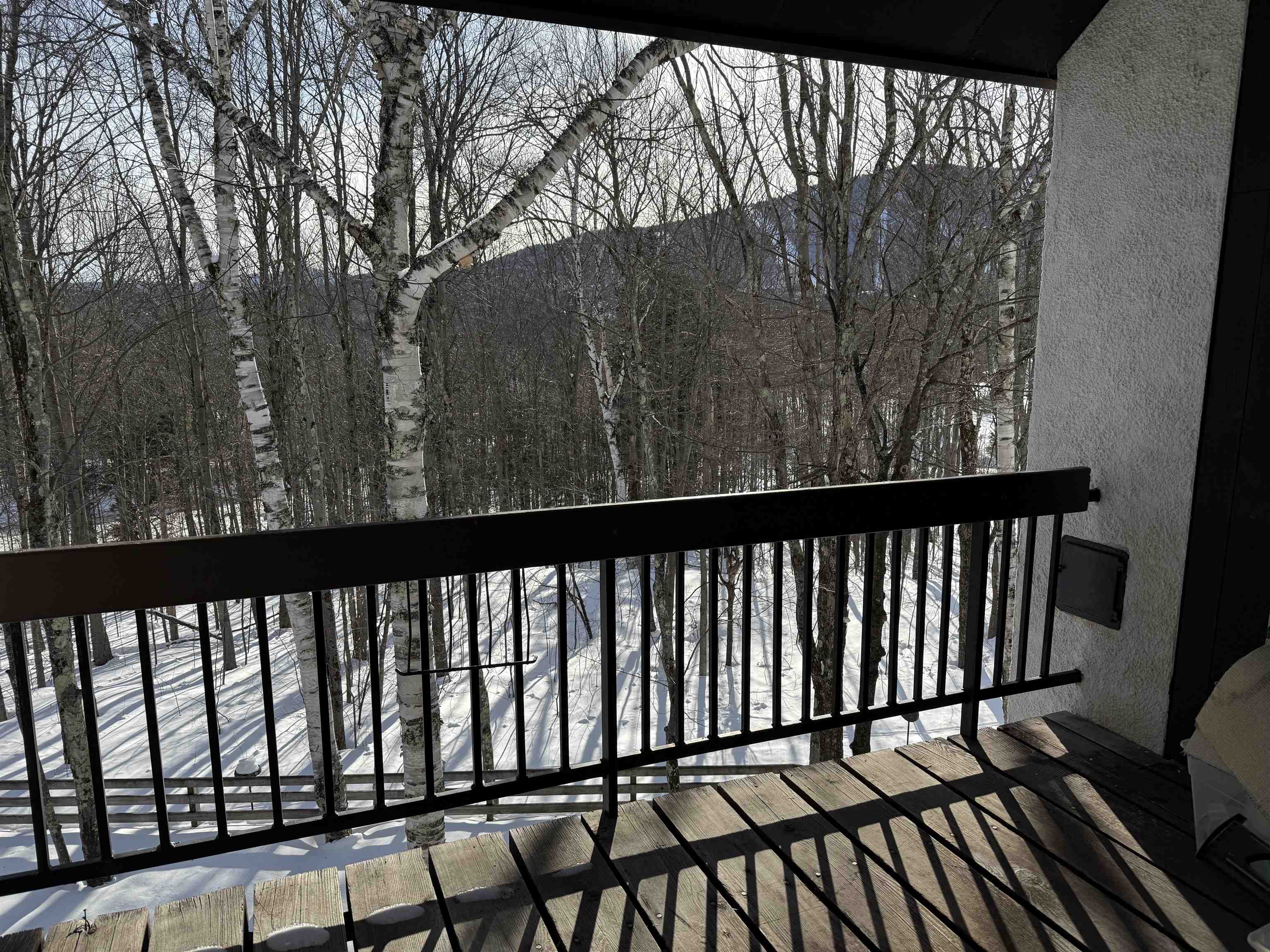114 Club Sugarbush North Road Warren, VT 05674 - Photo 10 of 22