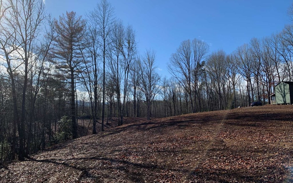 7-acres Payne Road Brasstown, NC 28902 - Photo 30 of 57 Gallery Image 30