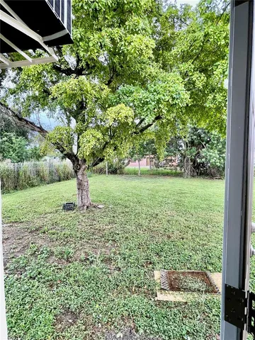 a view of a garden with a tree