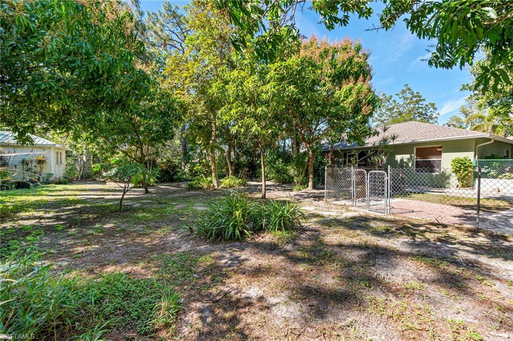 724 Pine Cone Lane Naples, FL 34104 - Photo 39 of 45 a view of a park with large trees