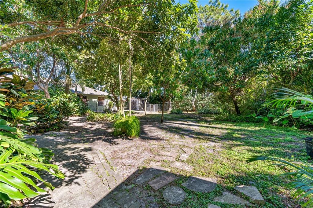 724 Pine Cone Lane Naples, FL 34104 - Photo 43 of 45 a view of a yard with plants and trees