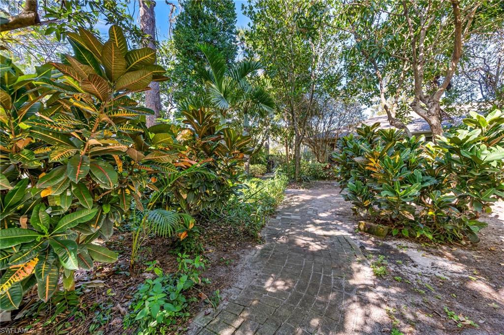 724 Pine Cone Lane Naples, FL 34104 - Photo 44 of 45 a pathway of a yard