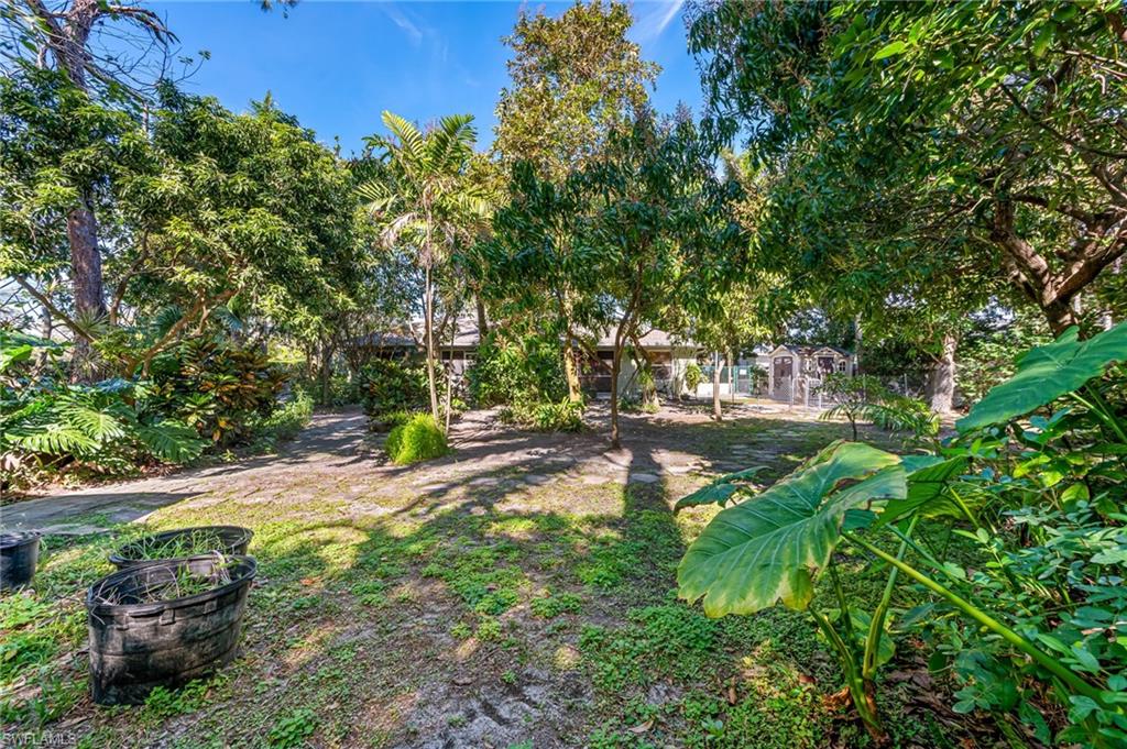 724 Pine Cone Lane Naples, FL 34104 - Photo 45 of 45 a view of a tree in a yard