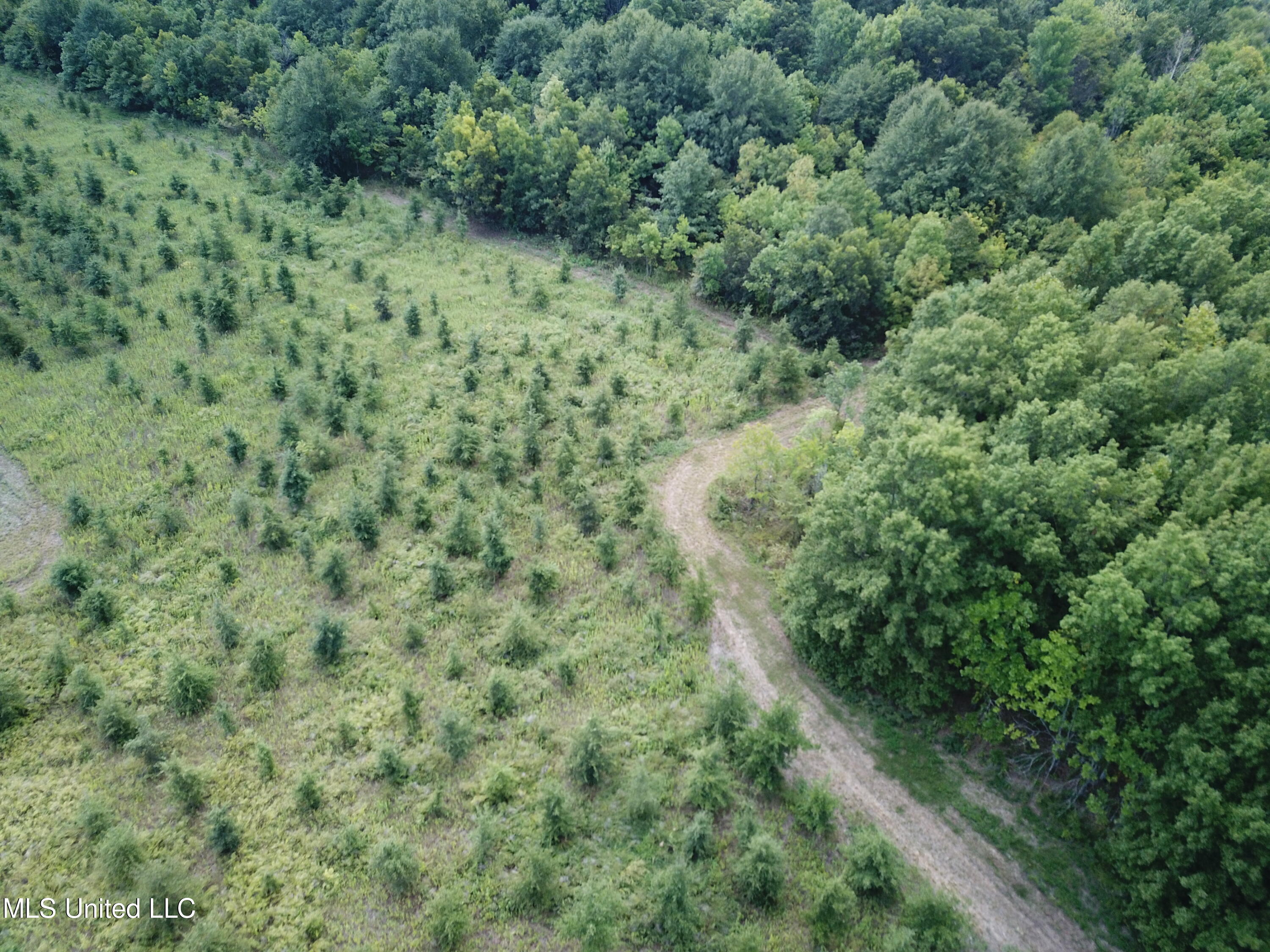 Darling Road Sledge, MS 38670 - Photo 3 of 19 DJI_0043