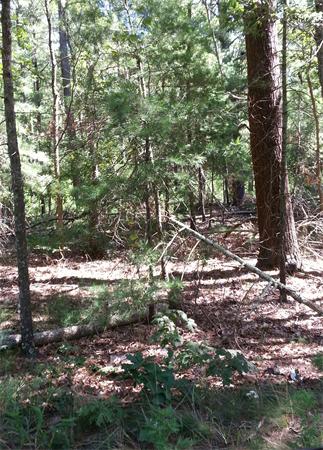 12 Blackmore Pond Road Wareham, MA 02576 - Photo 5 of 18 Gallery Image 5