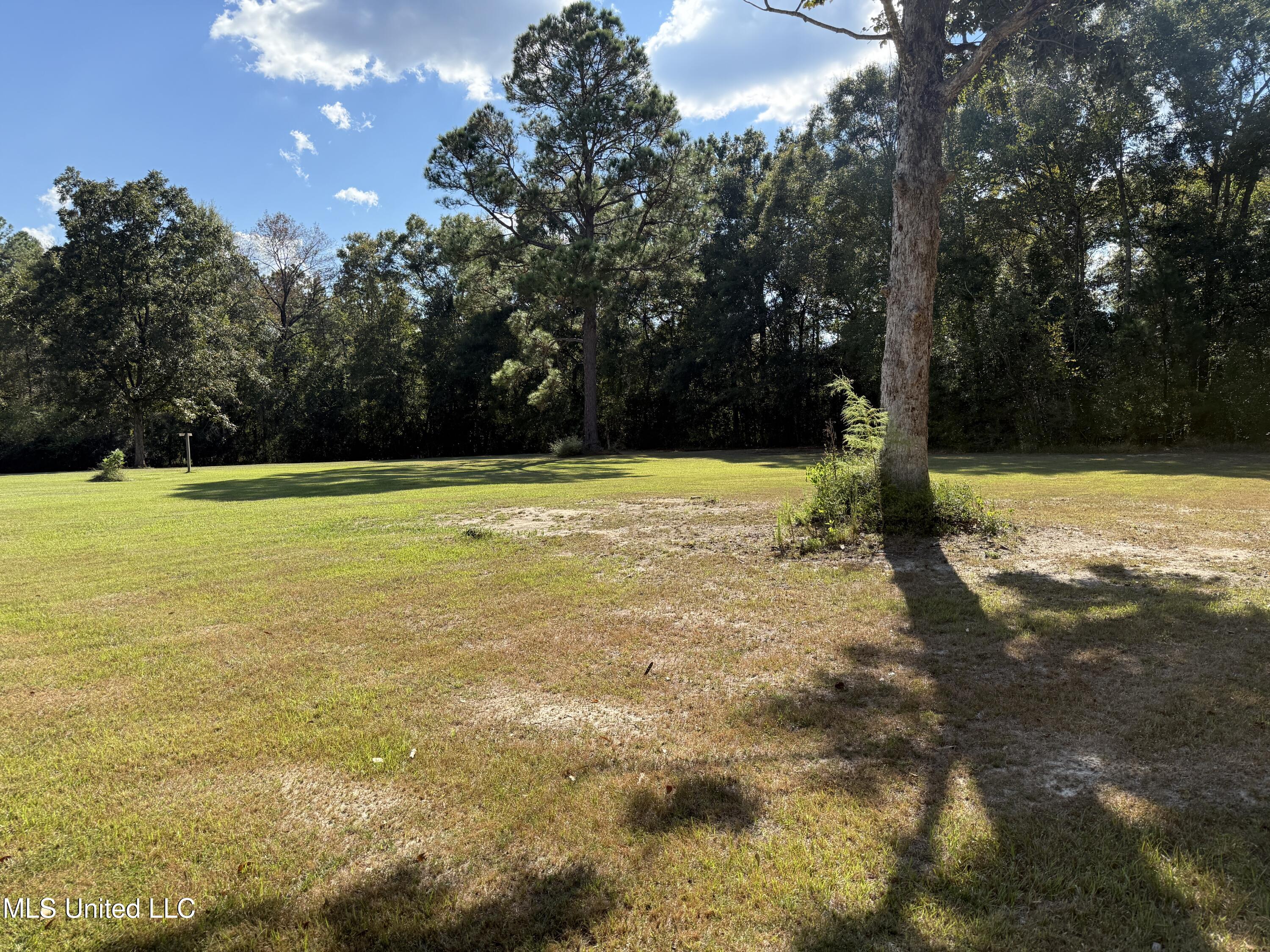 477 O Neal Road Perkinston, MS 39573 - Photo 26 of 41 IMG_3011