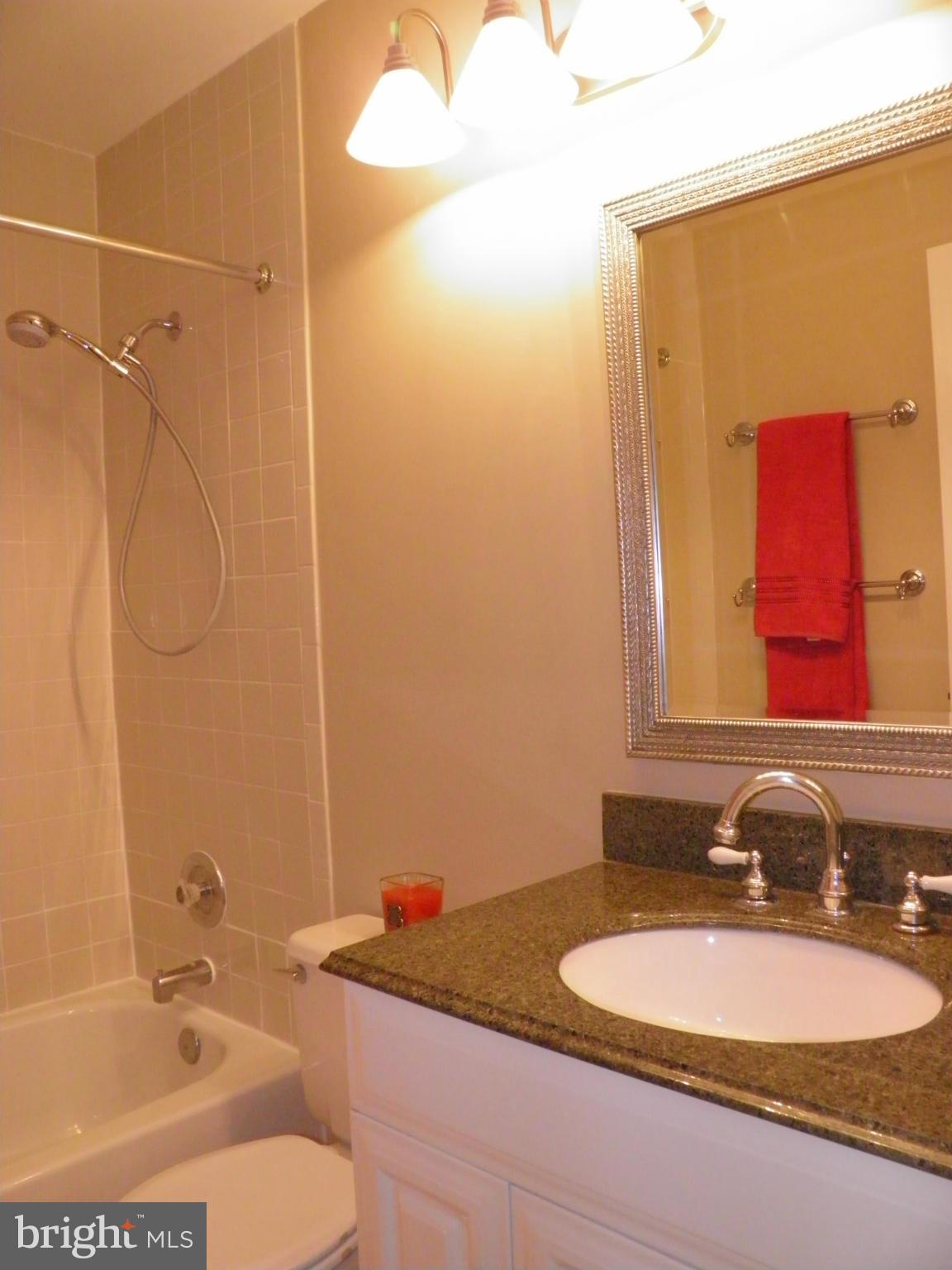 11 Grove Ridge Court, Unit 70 Rockville, MD 20852 - Photo 13 of 25 Bath (Master)