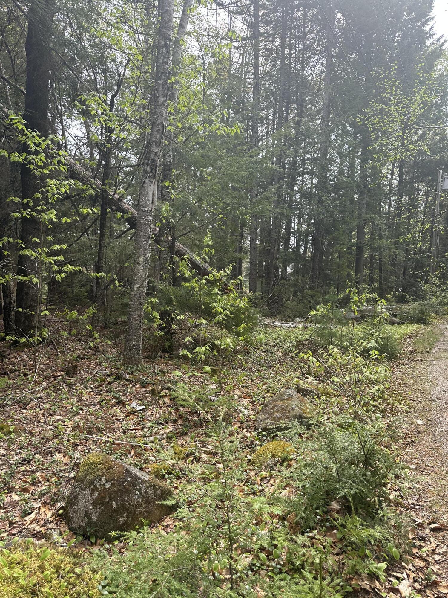 0 Endov Lane Sullivan, ME 04664 - Photo 18 of 18 IMG_4985