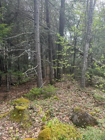 $185,000 | 0 Endov Lane, Sullivan, ME 04664