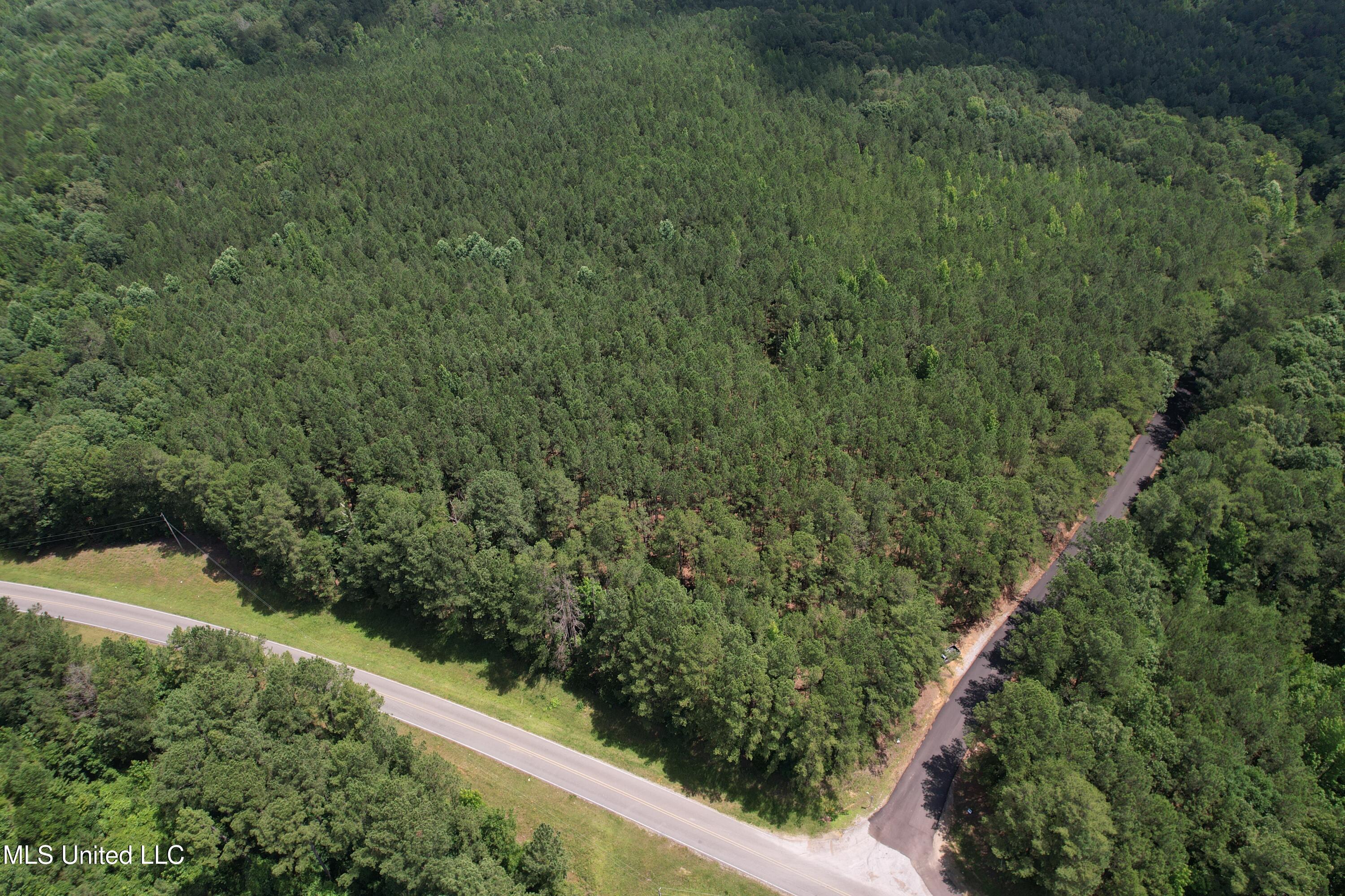 5204 County Road Ethel, MS 39067 - Photo 11 of 37 DJI_0780
