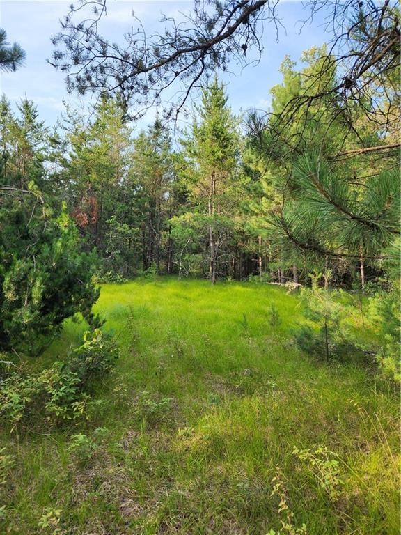 5500 County Highway Sparta, WI 54656 - Photo 28 of 39