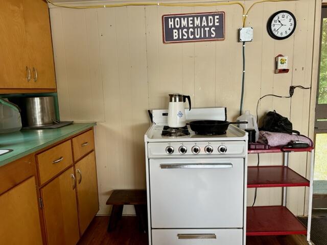 264 Somerset Road Rockwood, ME 04478 - Photo 9 of 27 IMG_2301