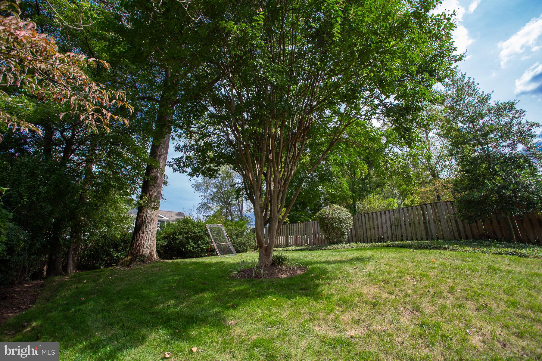 7301 Radnor Road Bethesda, MD 20817 - Photo 24 of 26