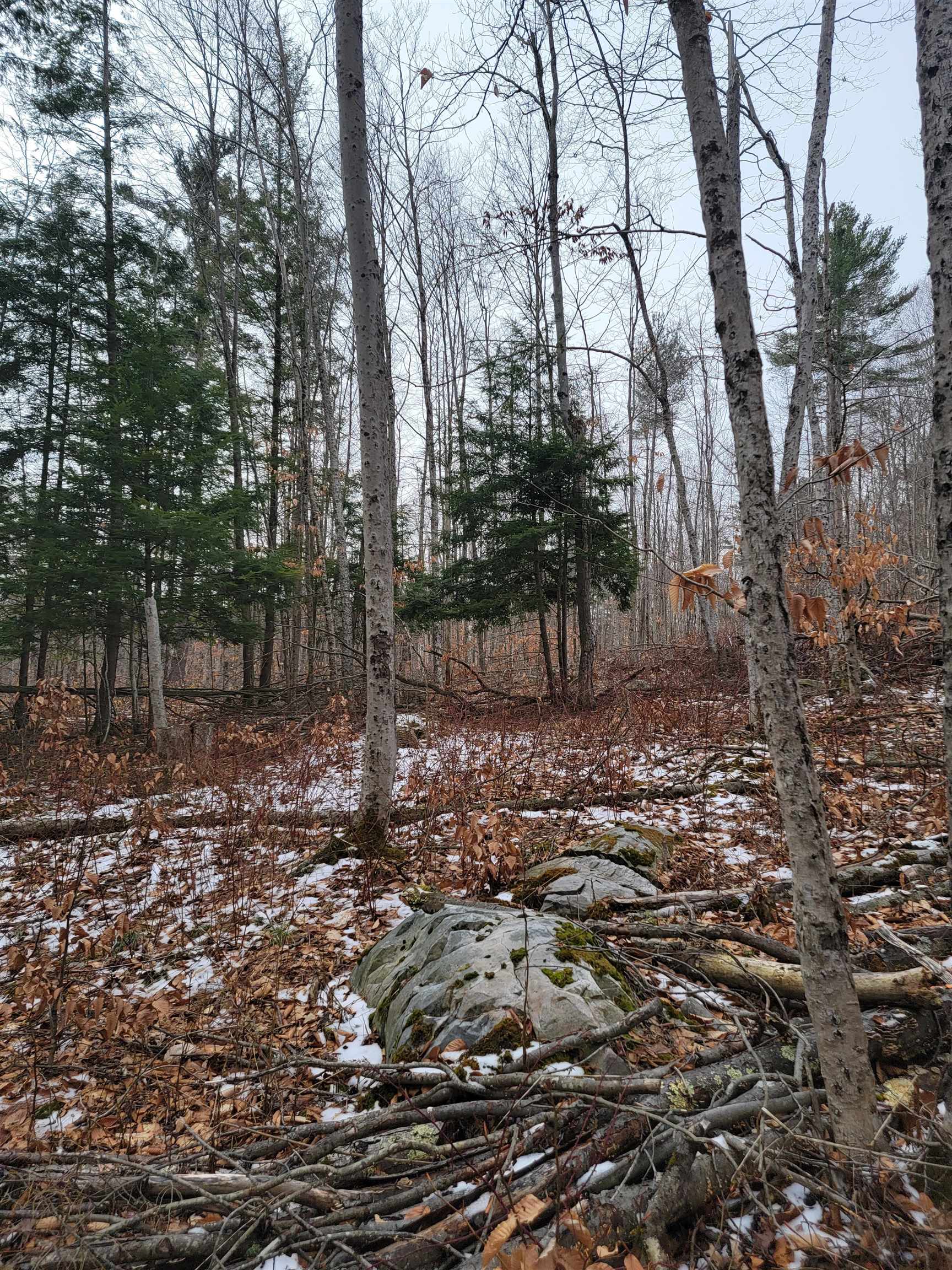 80 Crossover Road Bennington, VT 05201 - Photo 5 of 17 Gallery Image 5