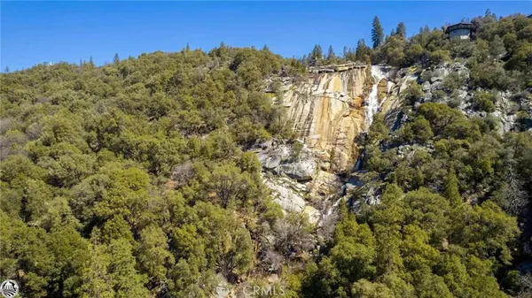 a view of a forest with a mountain