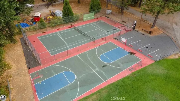 a view of a yard with plants and a bench