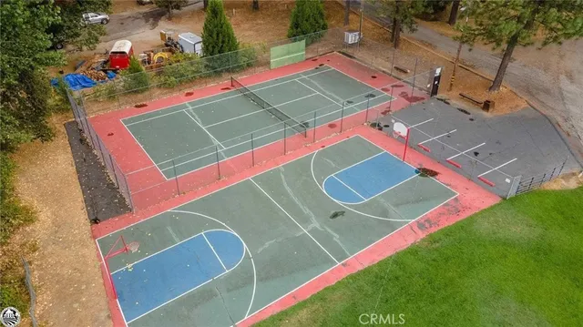 a view of a yard with plants and a bench