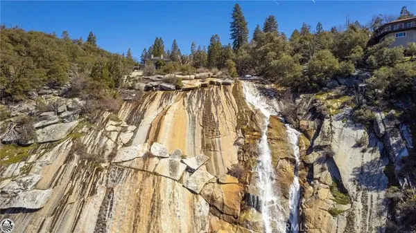 a view of covered with green space